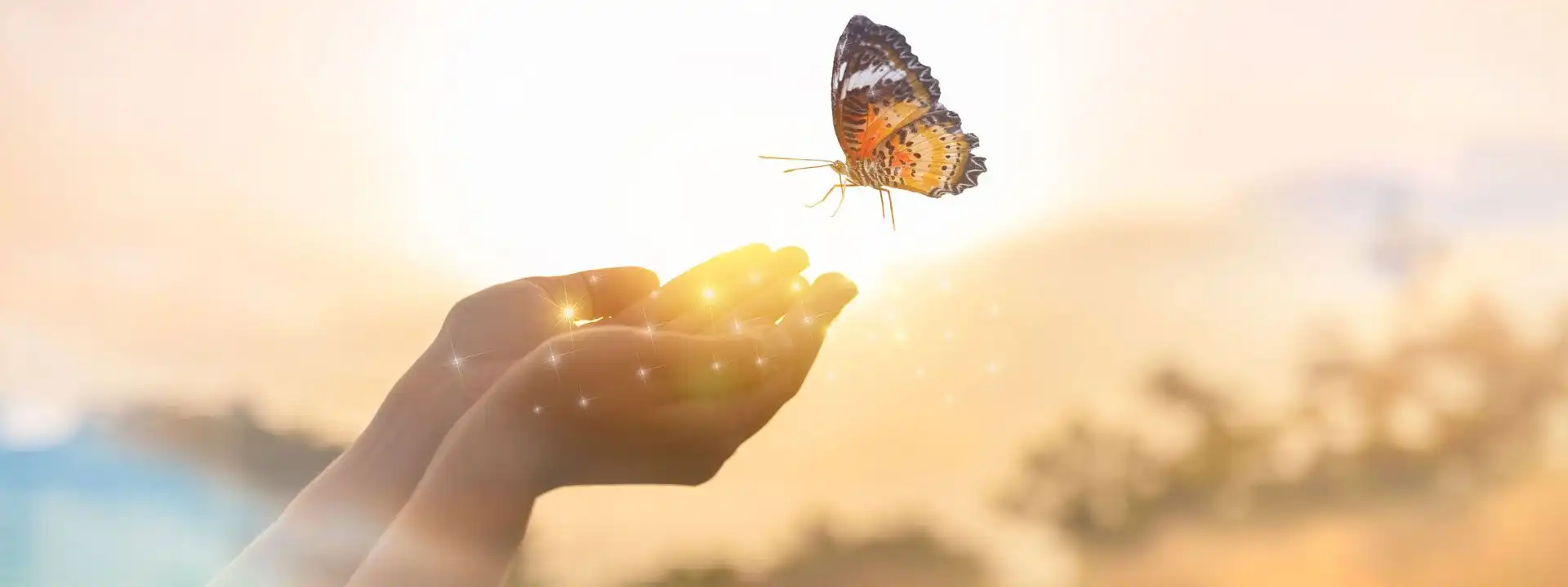 cupped hands releasing a monarch butterfly into the sunlit sky
